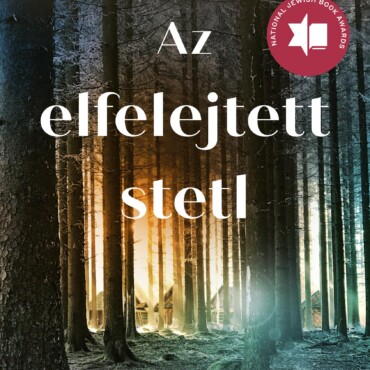 Az Elfelejtett Stetl