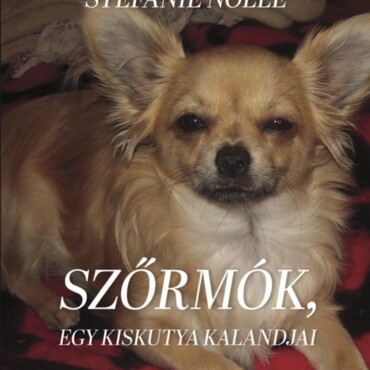 Szőrmók, Egy Kiskutya Kalandjai