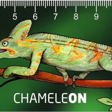 Kaméleon 3D Vonalzó 148X55 Mm