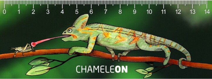 Kaméleon 3D Vonalzó 148X55 Mm