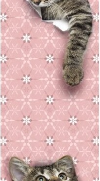 Hi There 3D Könyvjelző 210X55 Mm