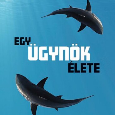 Egy Ügynök Élete, Kalandok A Biztosító Világában