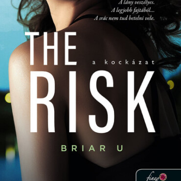 The Risk - A Kockázat (Briar U 2.)