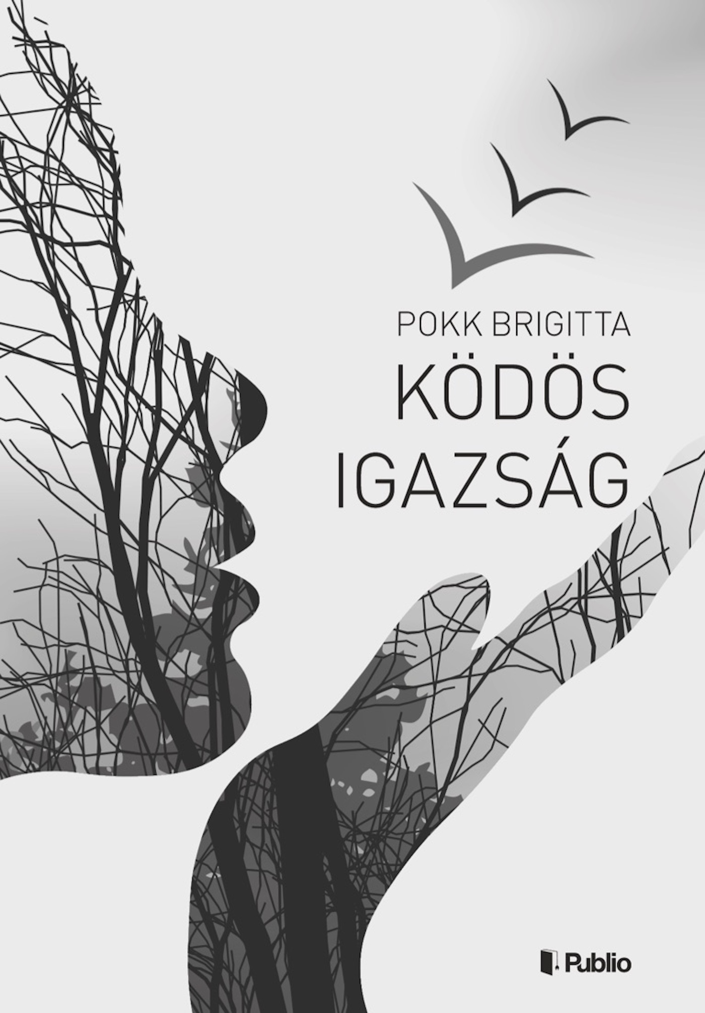 Ködös Igazság
