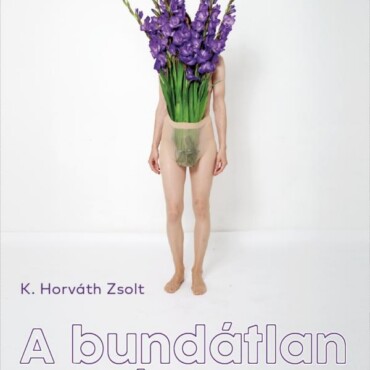 A Bundátlan Vénusz