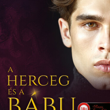 A Herceg És A Bábu (Riválisok Játszadozása 1.)
