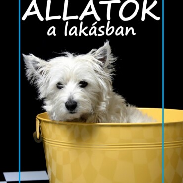 Állatok A Lakásban - Kis Természetkalauz