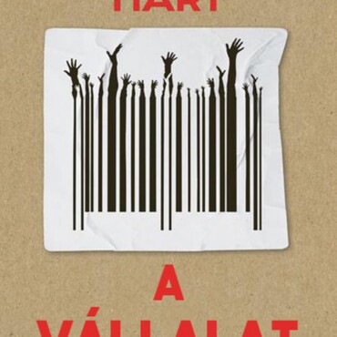 A Vállalat