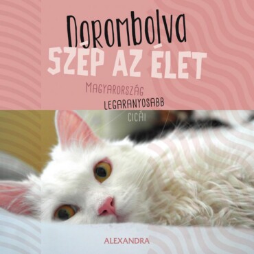 Dorombolva Szép Az Élet - Magyarország Legaranyosabb Cicái