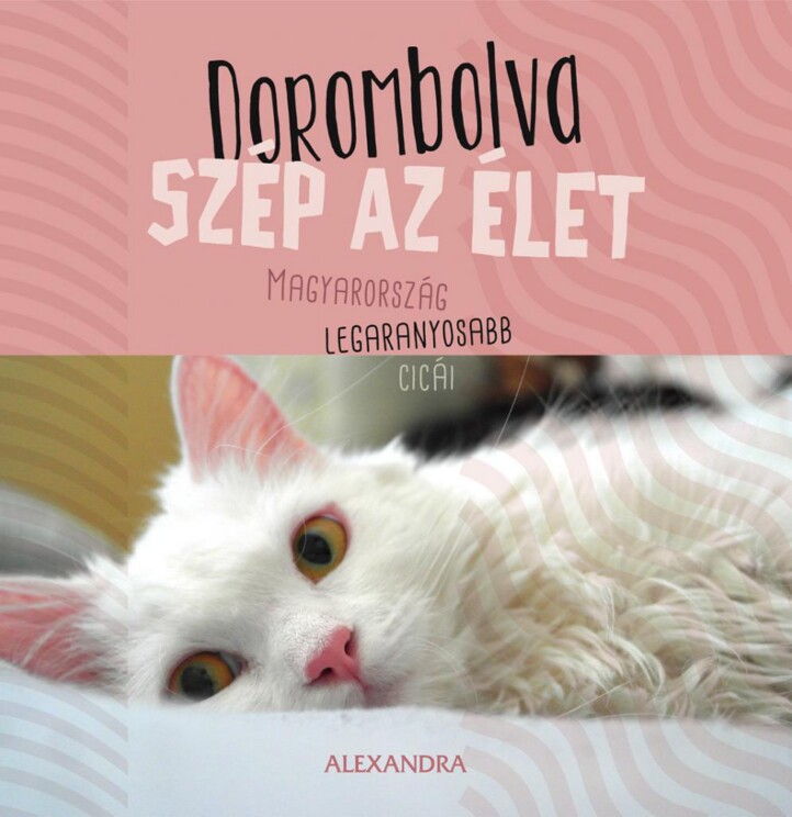 Dorombolva Szép Az Élet - Magyarország Legaranyosabb Cicái
