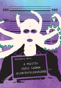 A Pozitív Egész Számok Jelentéktelenségéről