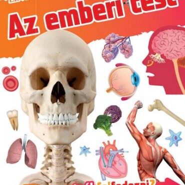 Az Emberi Test - Fedezd Fel!