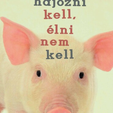 Hajózni Kell, Élni Nem Kell