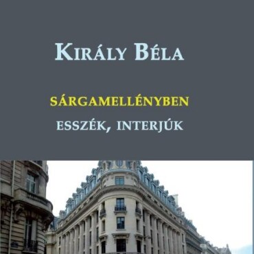 Sárgamellényben - Esszék, Interjúk