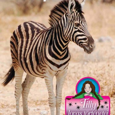 Tilly Lovas Történetei 17. - Szepi - Kalandos Szafari