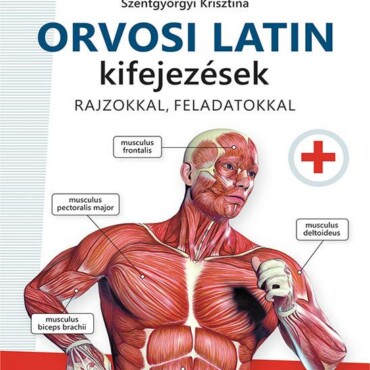 Orvosi Latin Kifejezések Rajzokkal, Feladatokkal