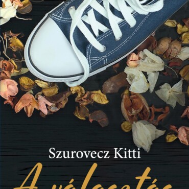 A Választás - Garaboncity Meséi