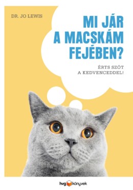 Mi Jár A Macskám Fejében? - Érts Szót A Kedvenceddel!