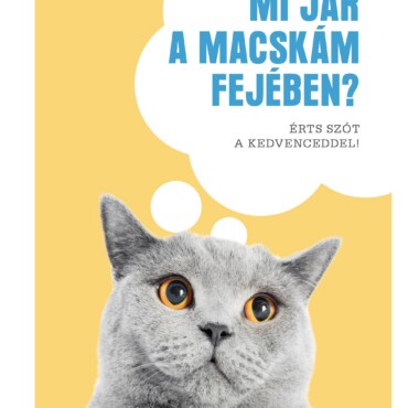 Mi Jár A Macskám Fejében? - Érts Szót A Kedvenceddel!