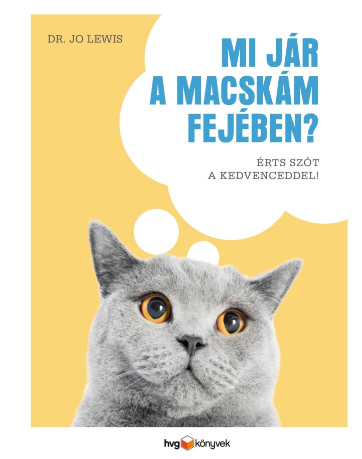 Mi Jár A Macskám Fejében? - Érts Szót A Kedvenceddel!