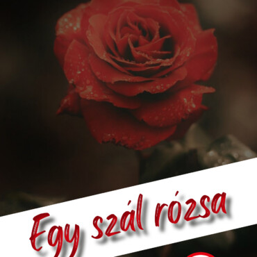 Egy Szál Rózsa