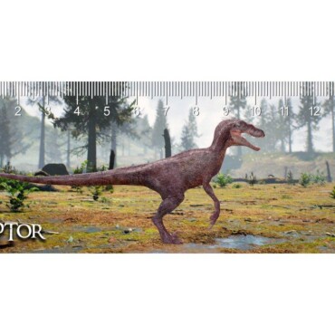 Raptor Deep 3D Vonalzó 148X55
