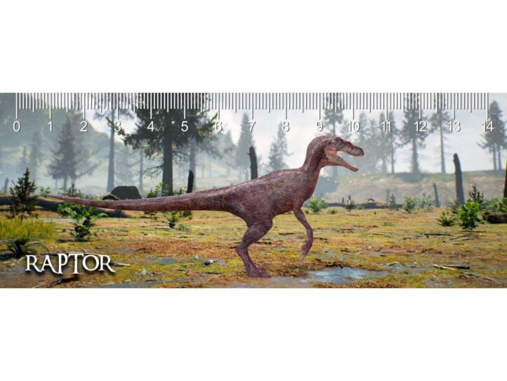 Raptor Deep 3D Vonalzó 148X55