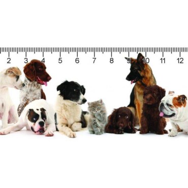 Oops! Deep 3D Vonalzó 148X55