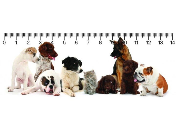 Oops! Deep 3D Vonalzó 148X55