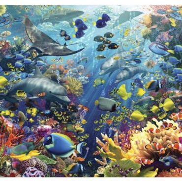 Red Sea 3D Képeslap 148X105