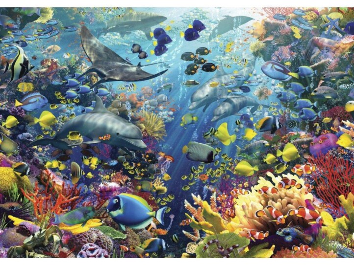 Red Sea 3D Képeslap 148X105