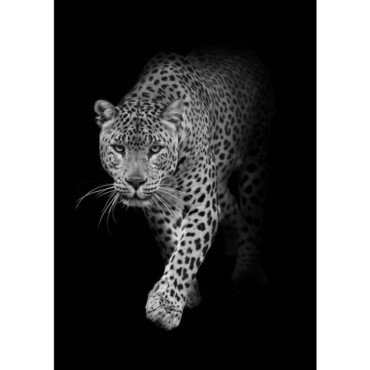 Leopard B & W 3D Képeslap 105X148
