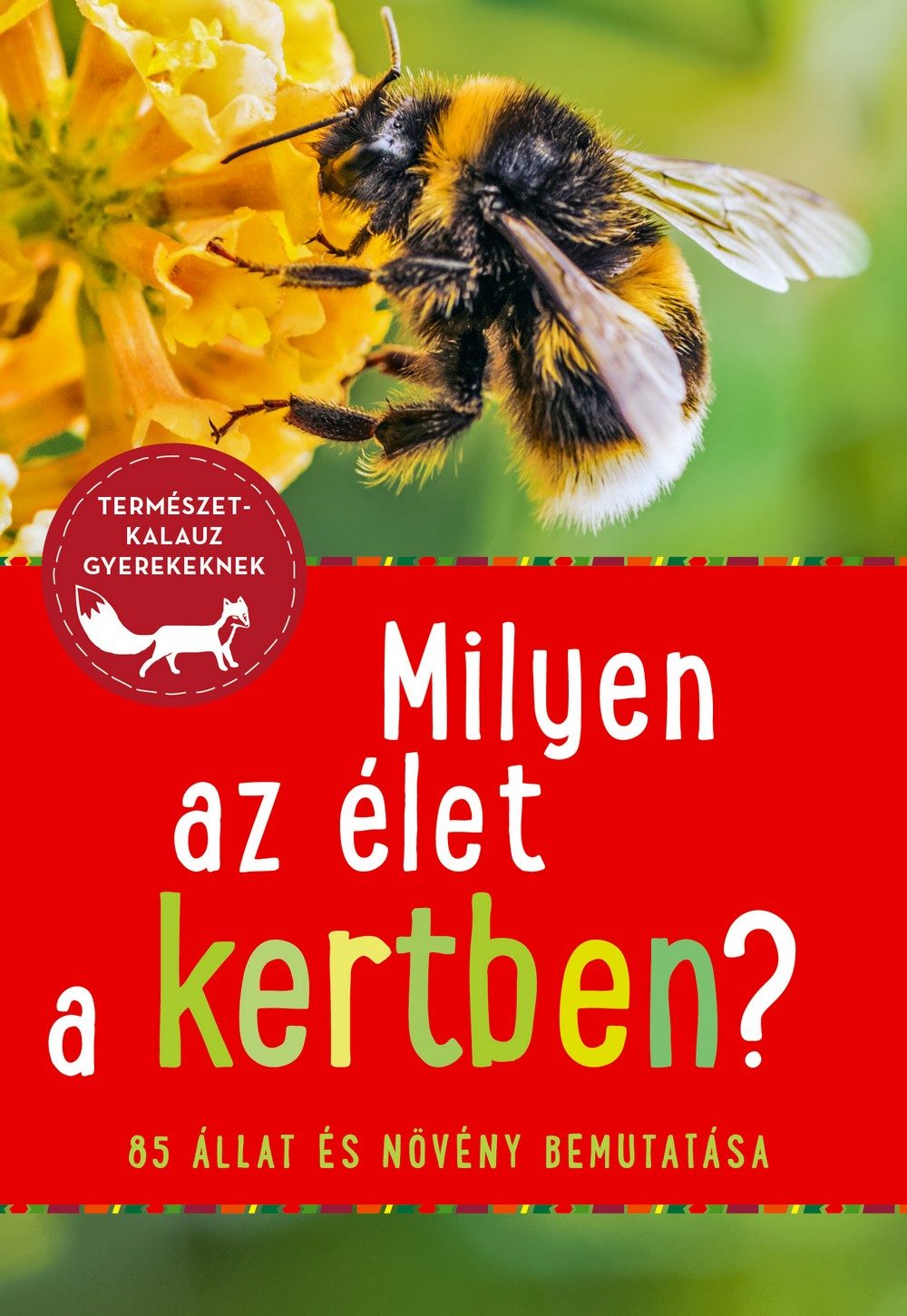 Milyen Az Élet A Kertben? - 85 Állat És Növényfaj Bemutatása