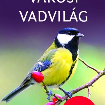 Városi Vadvilág - Természetbarátok Zsebkönyve
