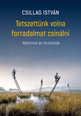 Tetszettünk Volna Forradalmat Csinálni