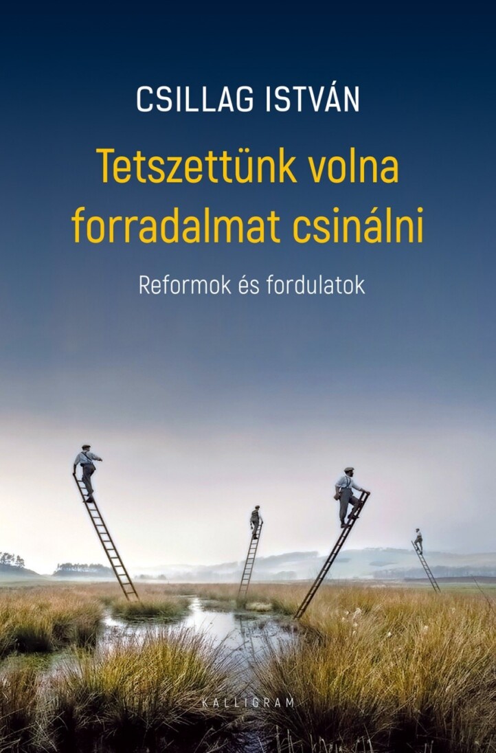 Tetszettünk Volna Forradalmat Csinálni
