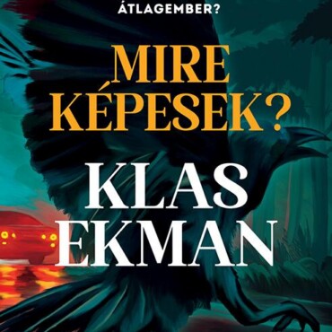 Mire Képesek?