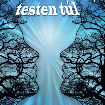 Testen Innen, Testen Túl