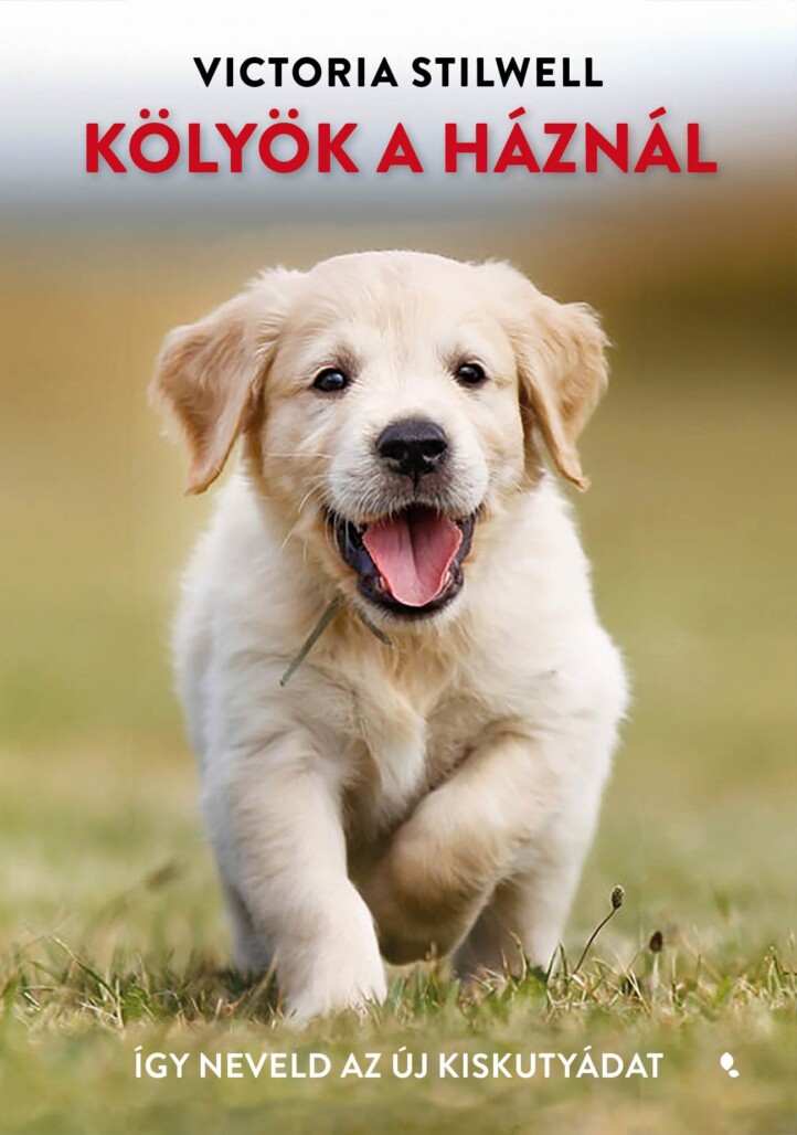 Kölyök A Háznál - Így Neveld Az Új Kiskutyádat