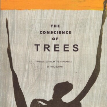 The Conscience Of Trees