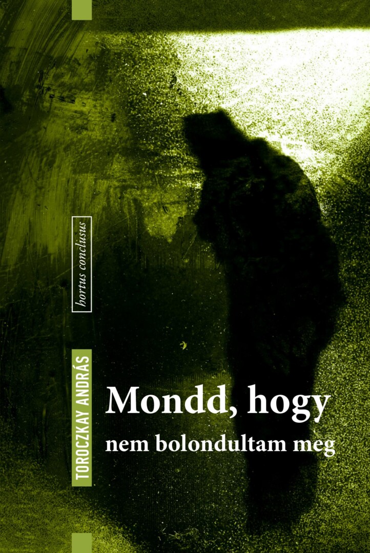 Mondd, Hogy Nem Bolondultam Meg