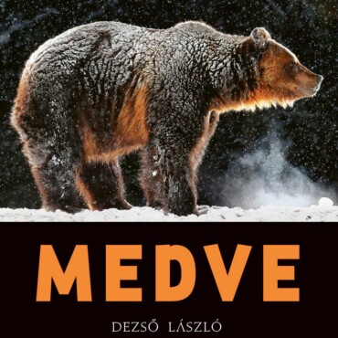 Medve
