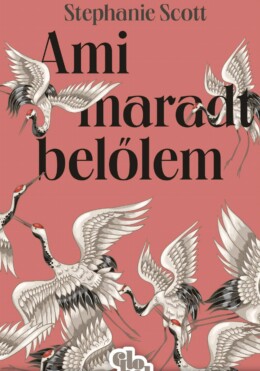 Ami Maradt Belőlem