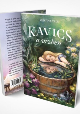 Kavics A Vízben