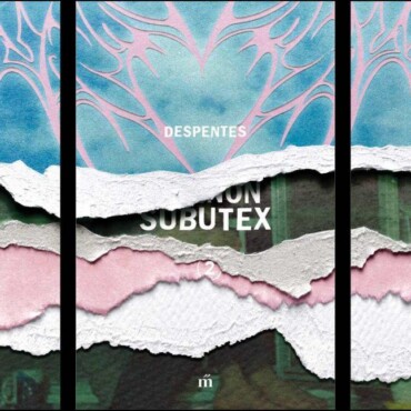 Vernon Subutex I-Ii-Iii