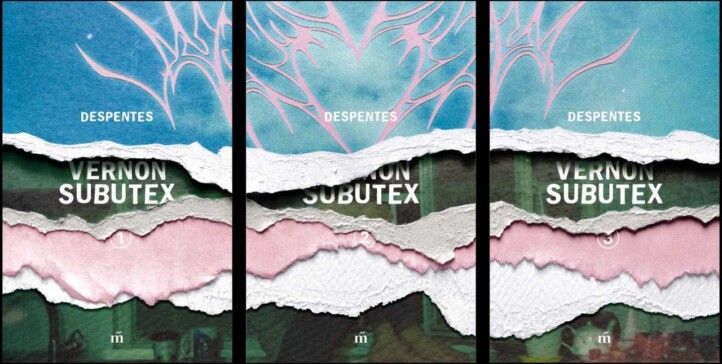 Vernon Subutex I-Ii-Iii