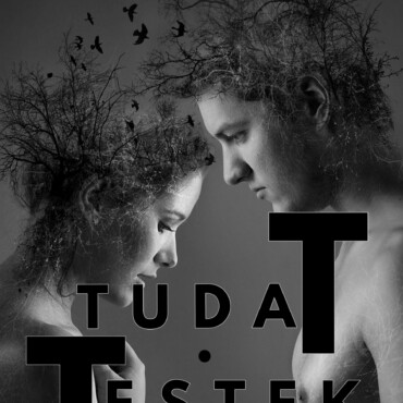 Tudattestek