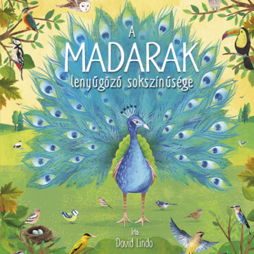 A Madarak Lenyűgöző Sokszínűsége