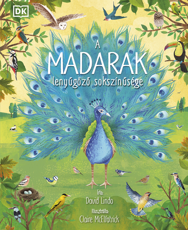 A Madarak Lenyűgöző Sokszínűsége