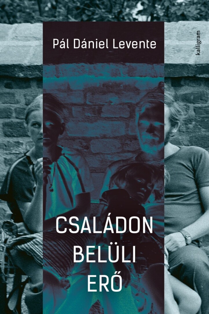 Családon Belüli Erő